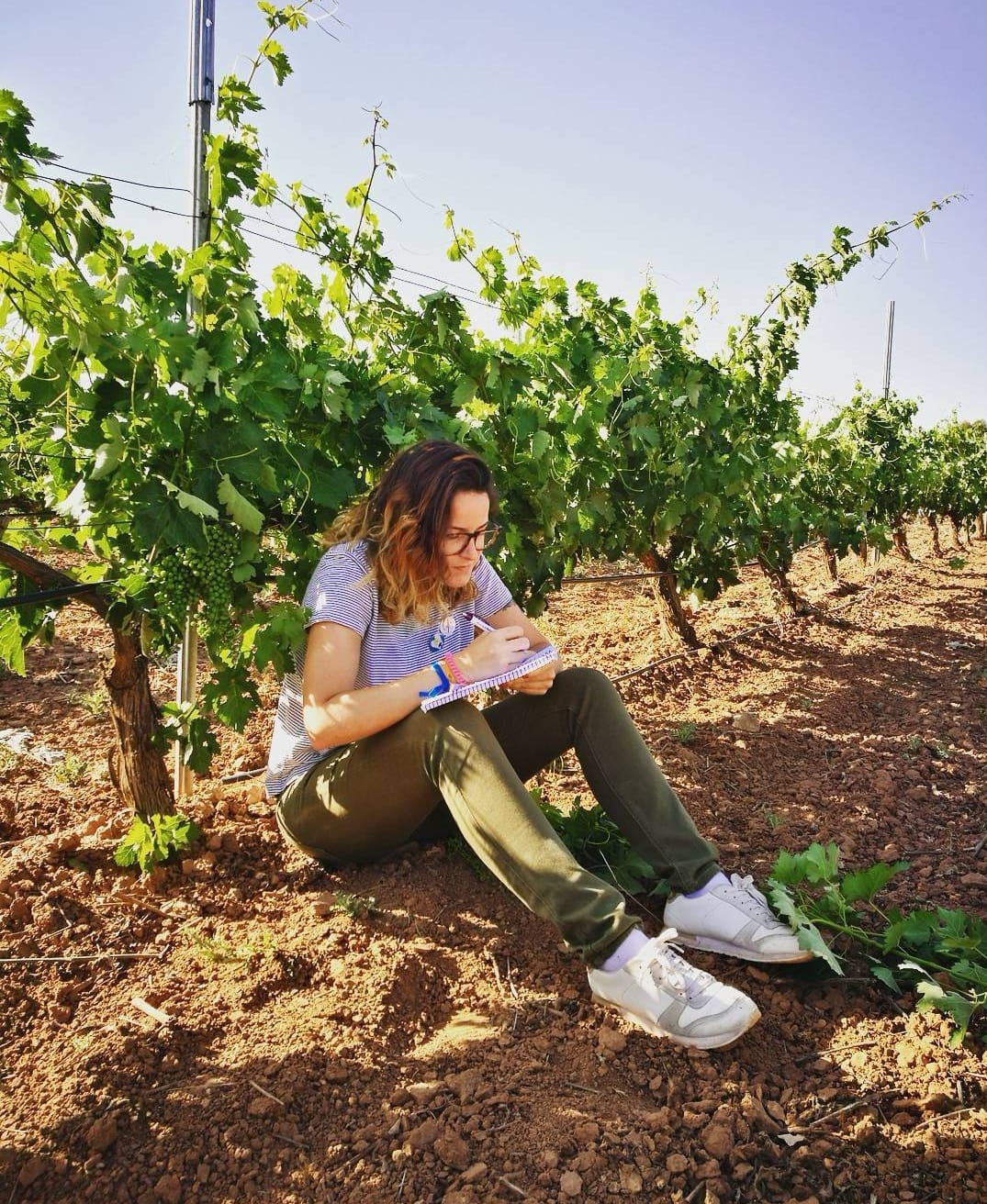 Bodegas Raíz de Guzmán