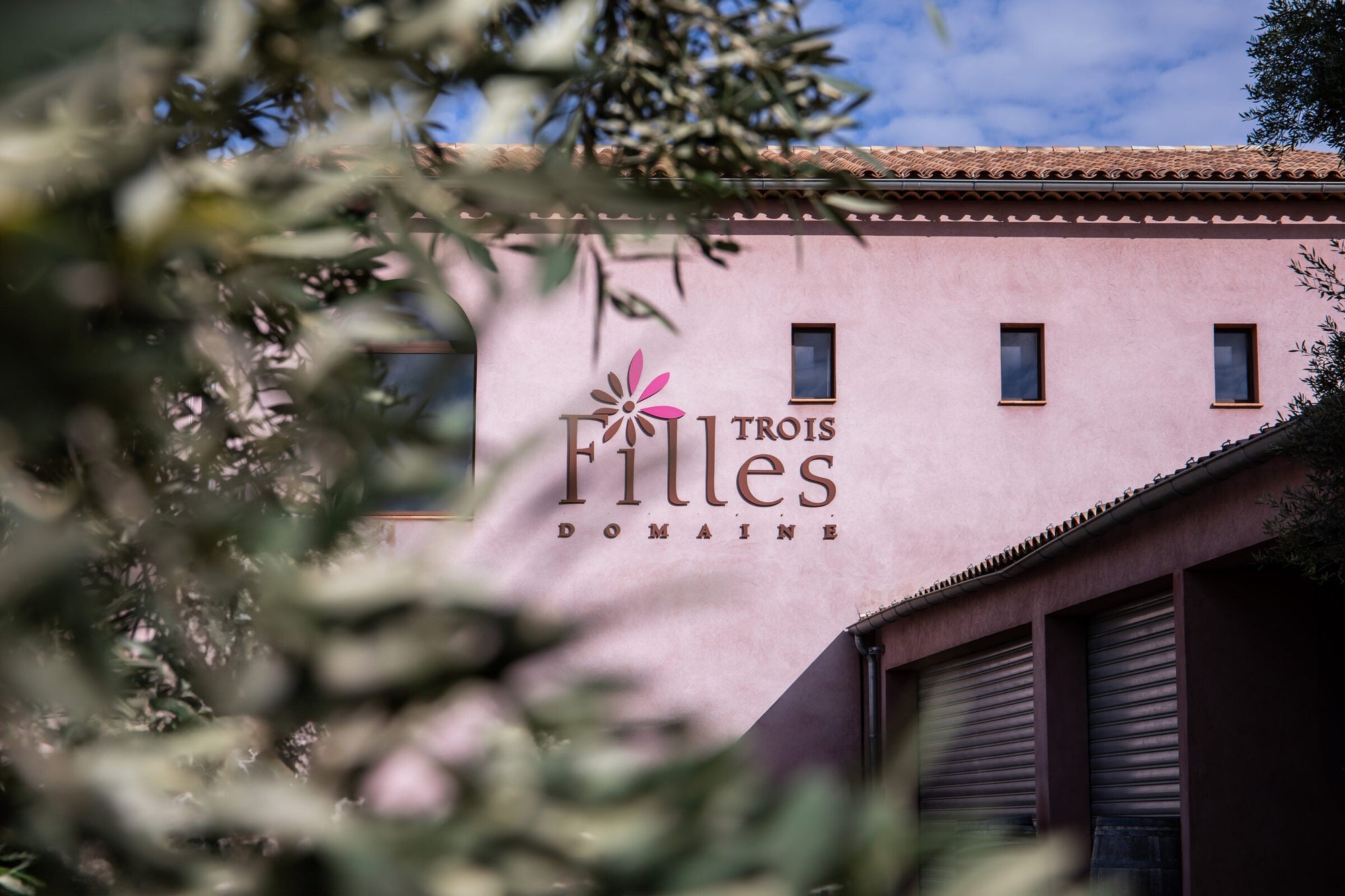 Das rosafarbene Gebäude der Domaine des Trois Filles in Bandol, gesehen durch Olivenzweige