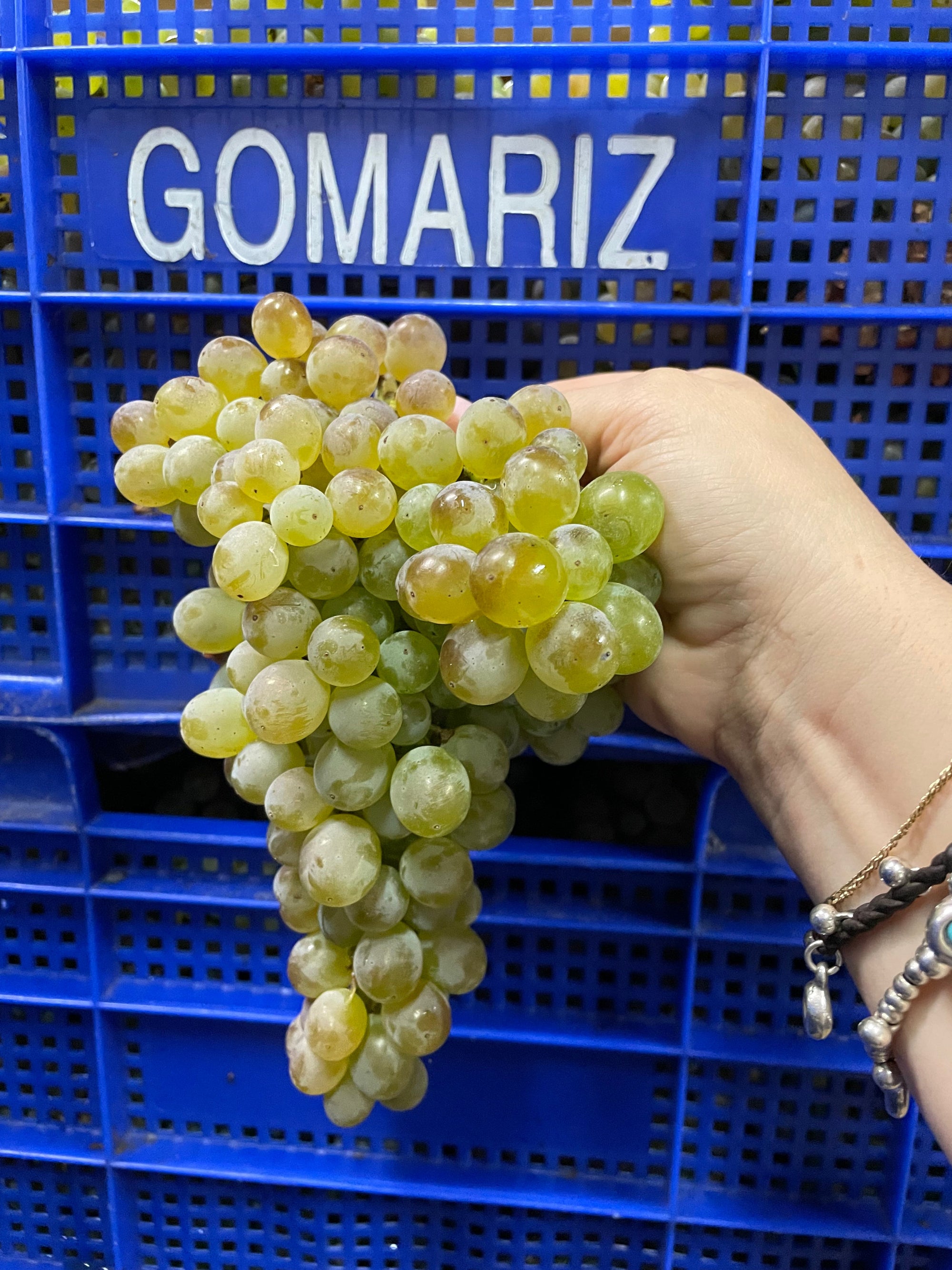 Coto de Gomariz