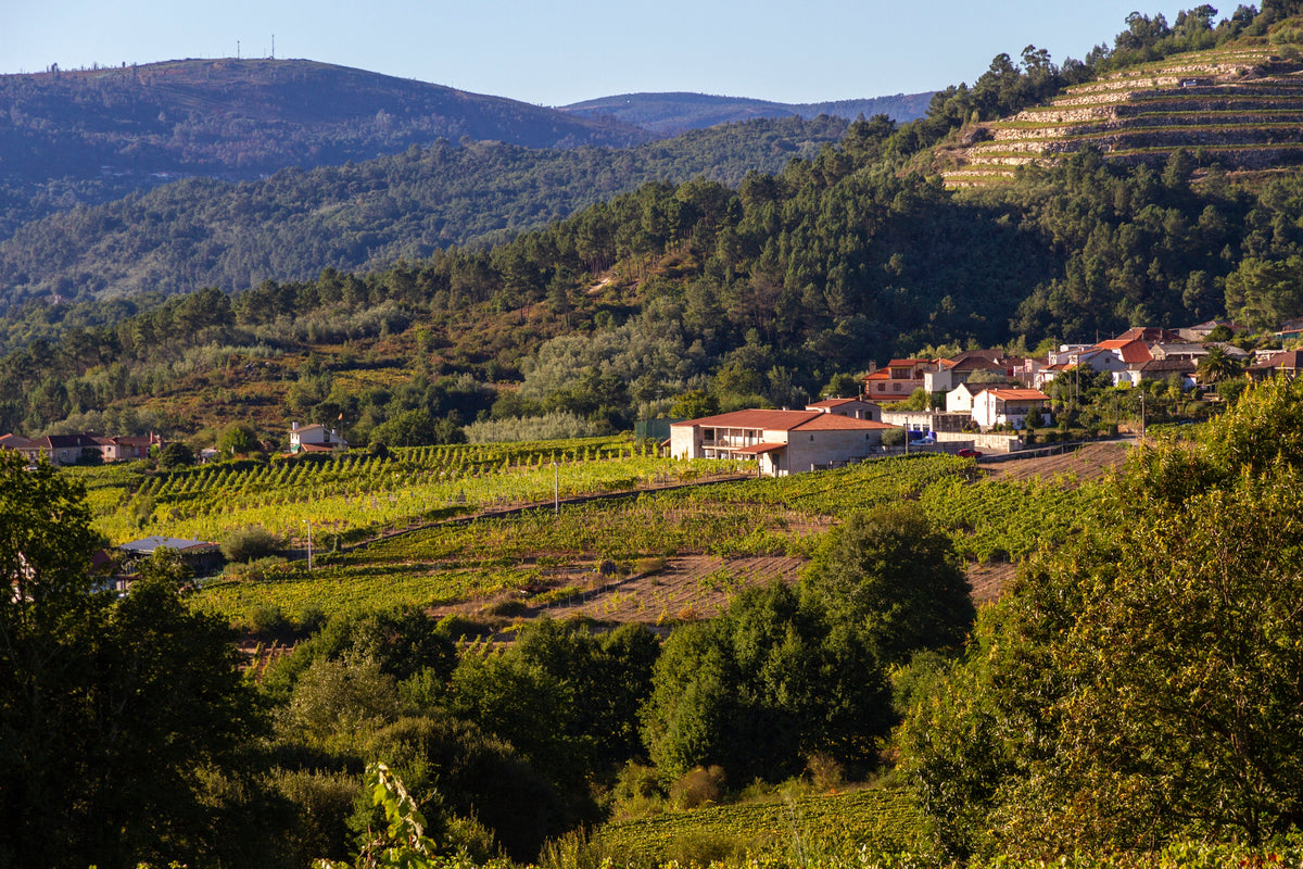 Blick von der Lage O Taboleiro auf die Bodega Coto de Gomariz im Avia-Tal, Ribeiro