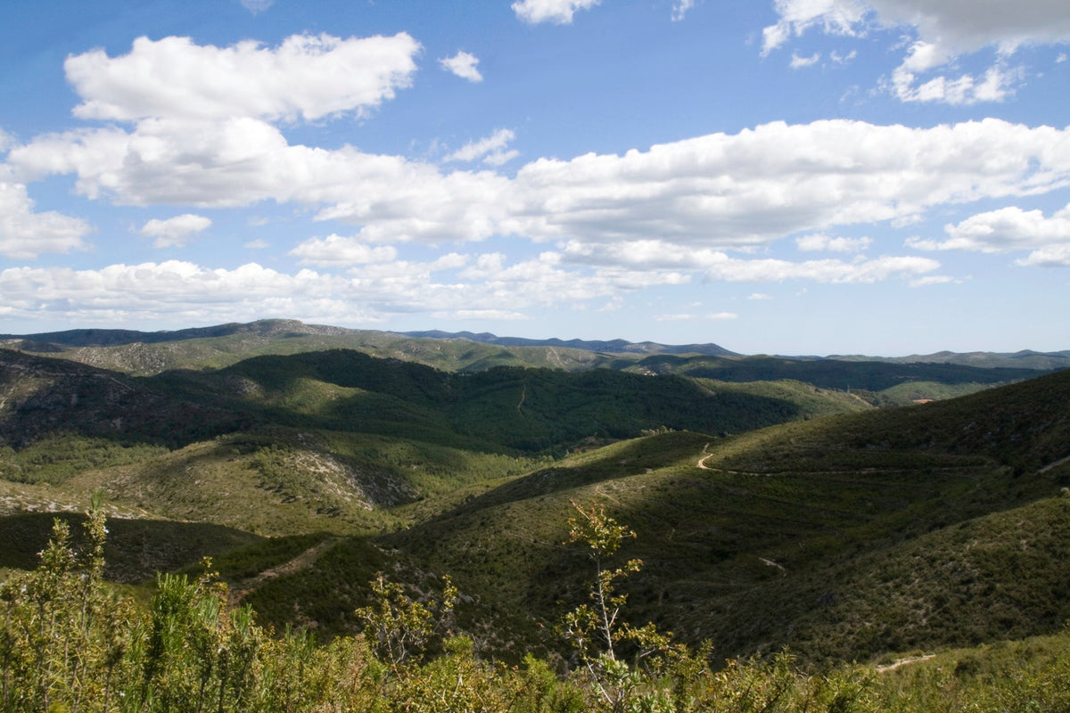 Die Hügel des Massís del Garraf südwestlich von Barcelona, Heimat von Can Ràfols dels Caus