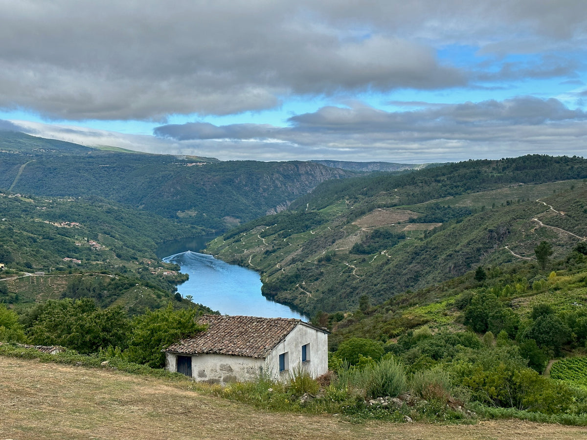 Blick von Cristosende über die Rebterrassen der Ribeira Sacra und den Fluss Sil