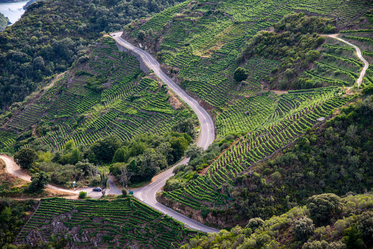Steile Rebberge im Amandi, einer Unterzone der Ribeira Sacra