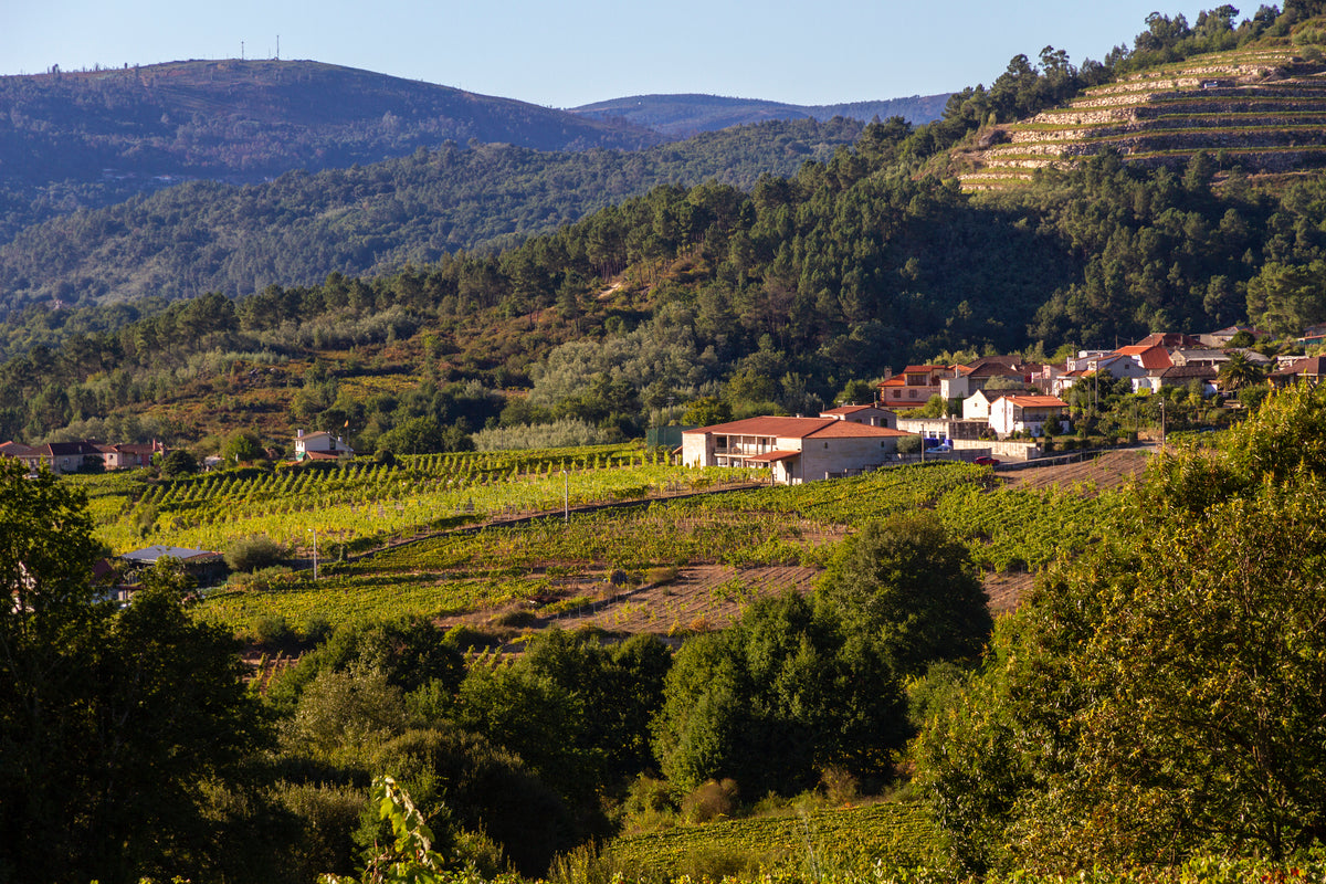 Coto de Gomariz