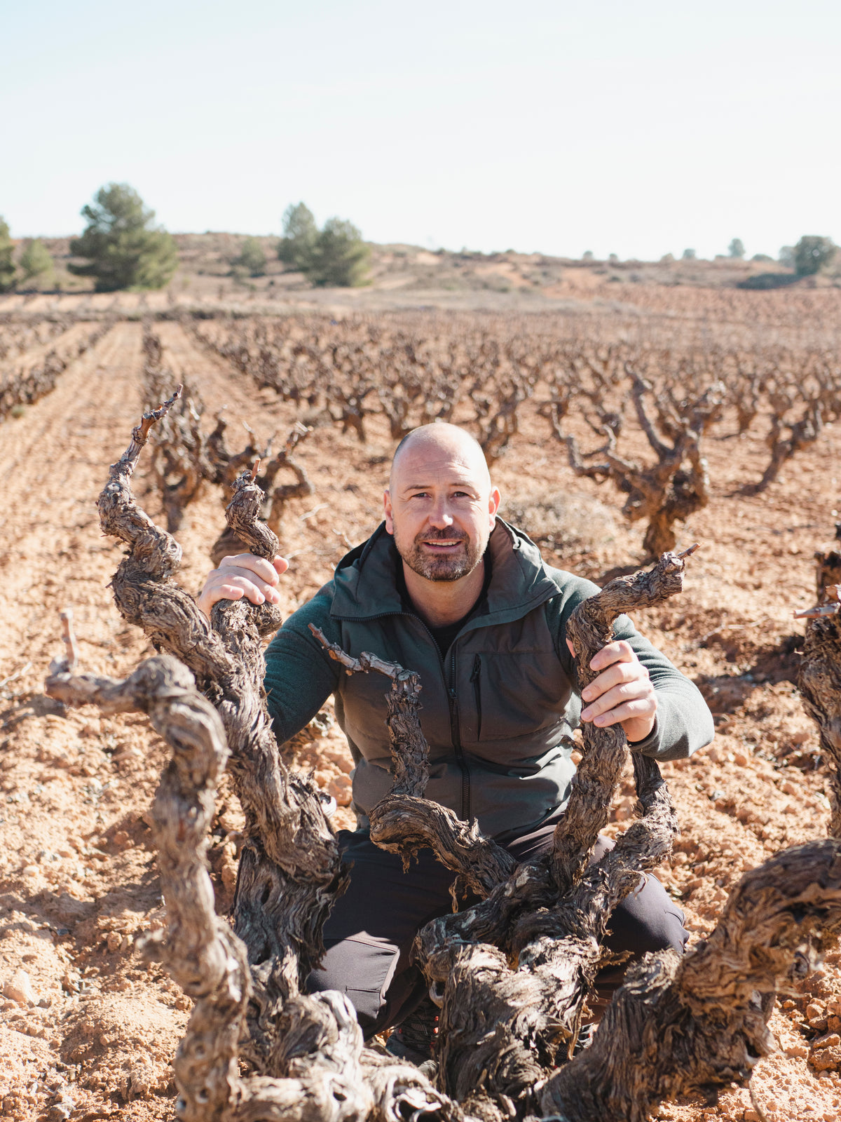 Bodega & Viñedos Carres