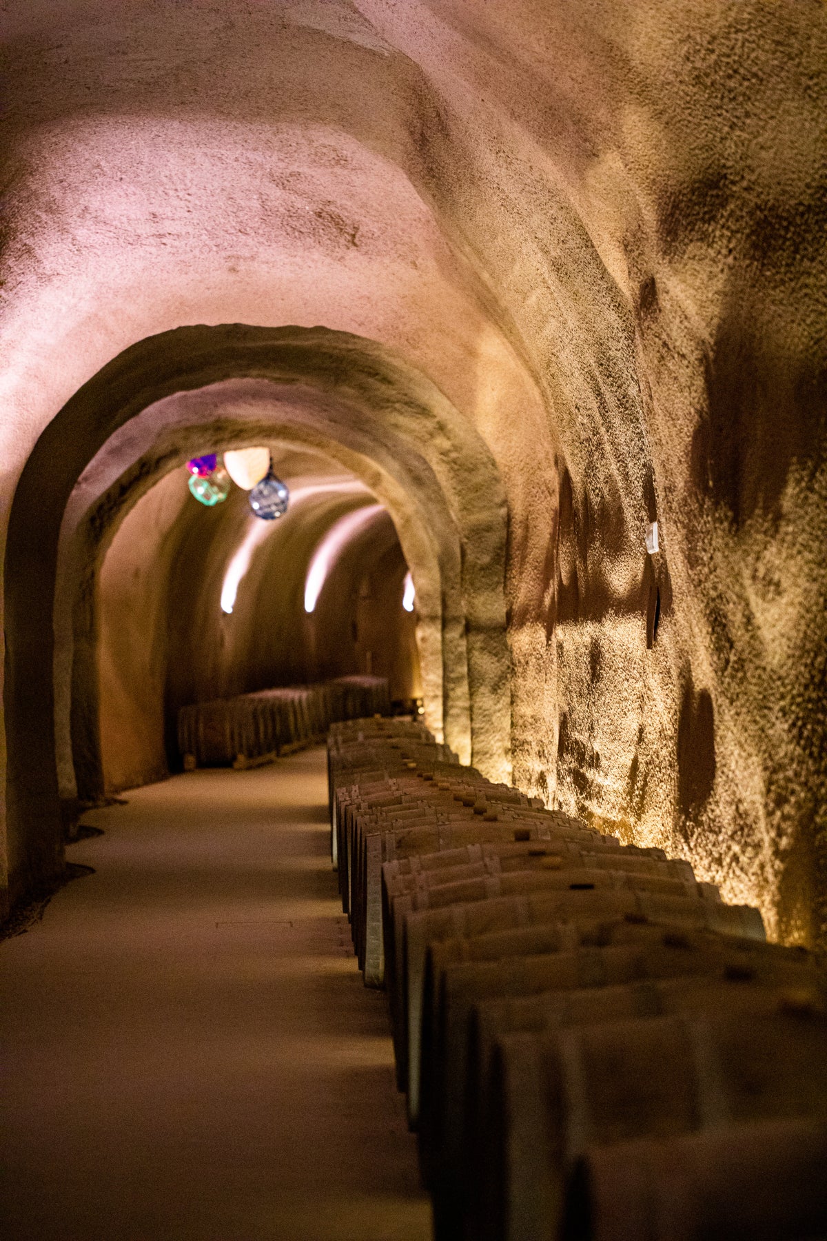 Bodegas Raíz de Guzmán