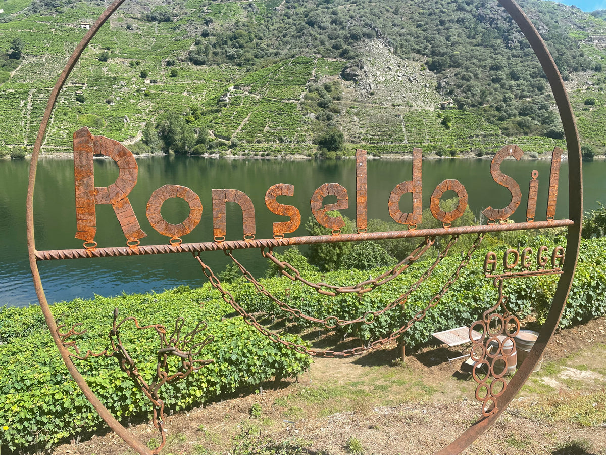 Ronsel do Sil