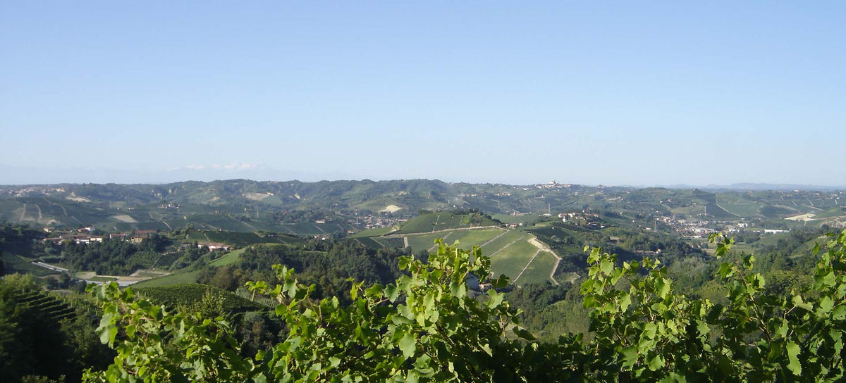 Fabrizio Battaglino