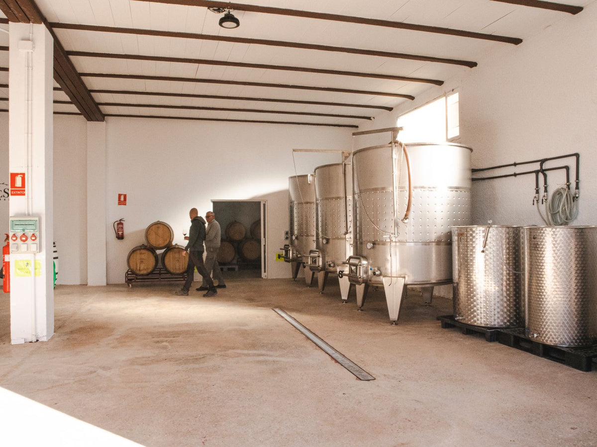 Keller mit Stahltanks bei Carres