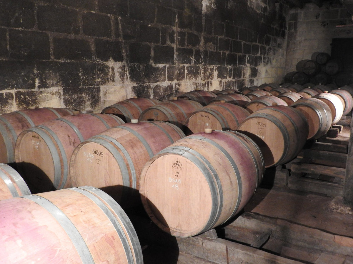 Fasskeller von Château Aux Graves de la Laurence