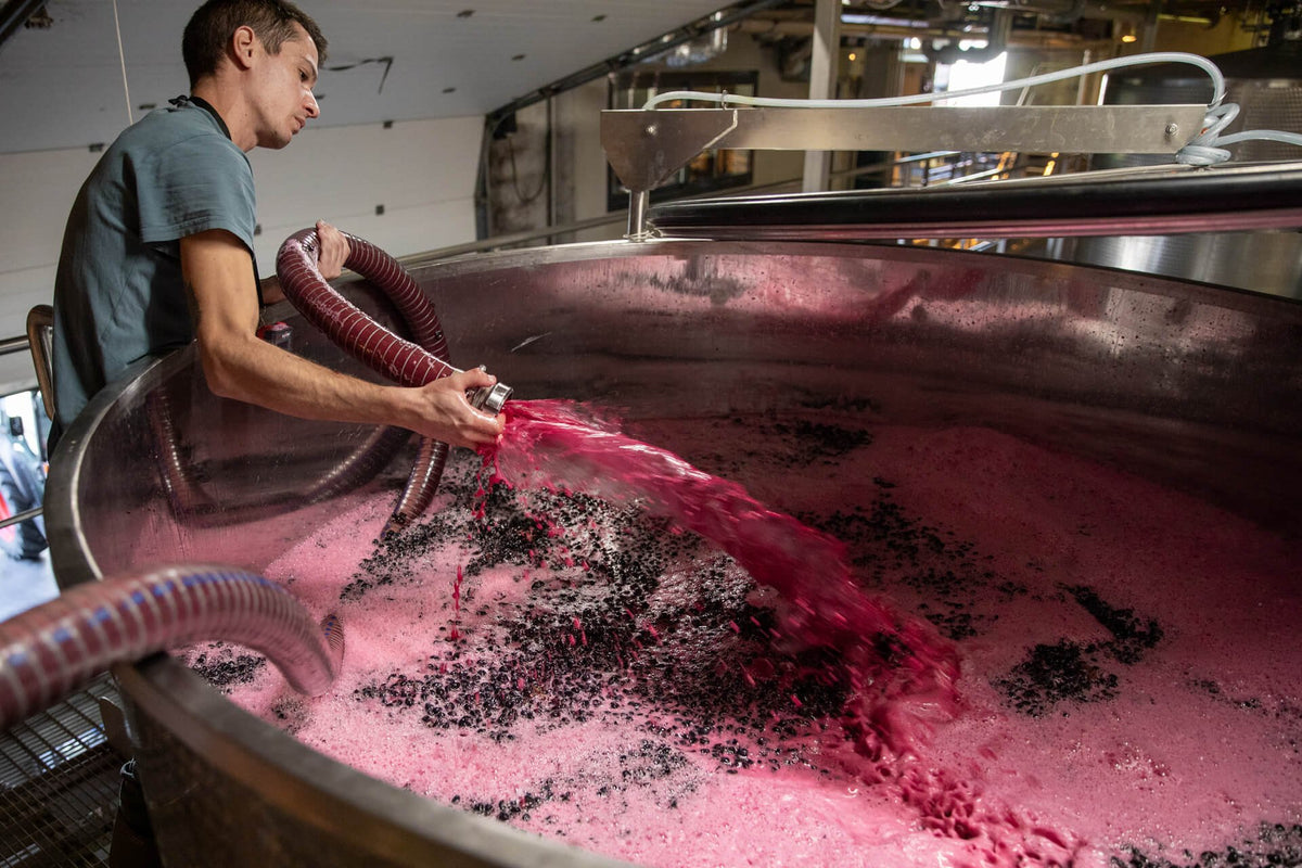 Im Keller der Domaine de la Coquillade wird roter Most umgepumpt