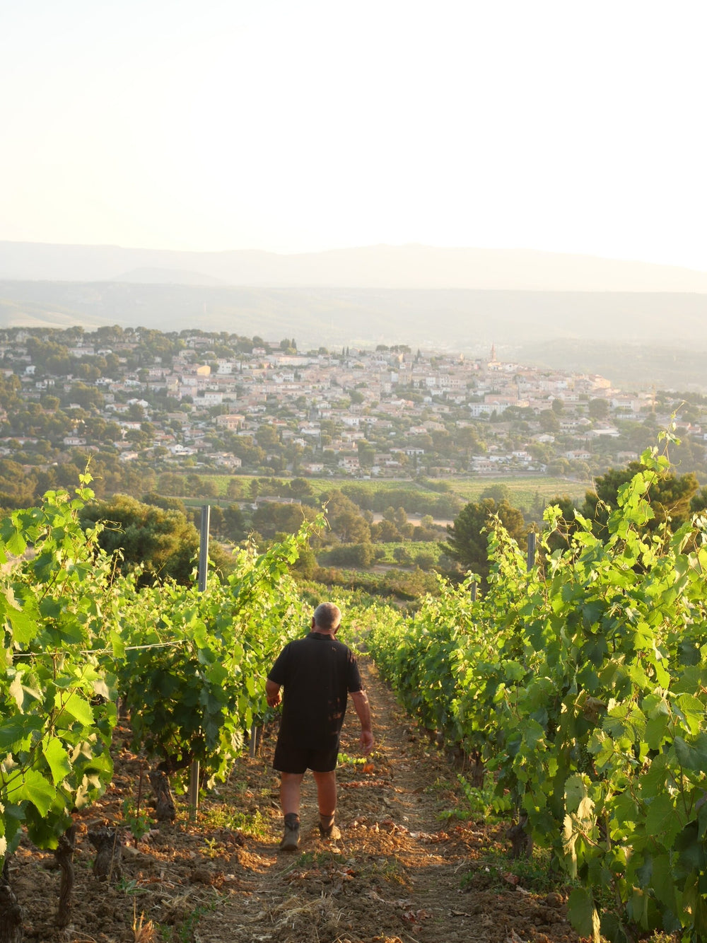 Domaine du Gros'Noré