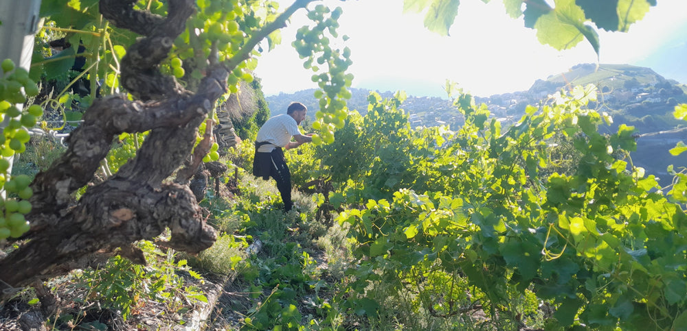 Cave Kaléidoscope